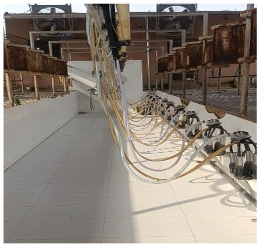 Shed 2 - Milking Parlour